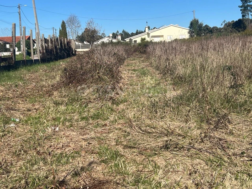 Terreno para Venda em Monte Real e Carvide Foto 1