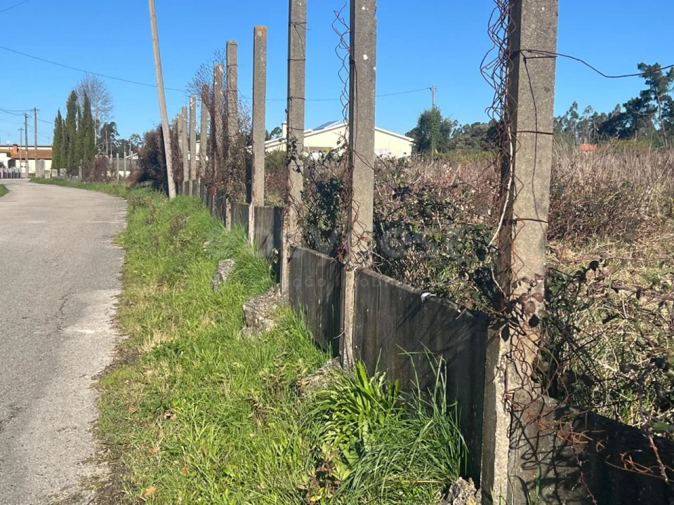 Terreno para Venda em Monte Real e Carvide Foto 3