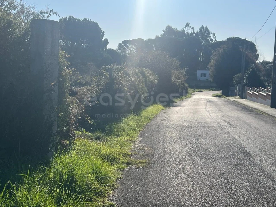 Terreno para Venda em Monte Real e Carvide Foto 4