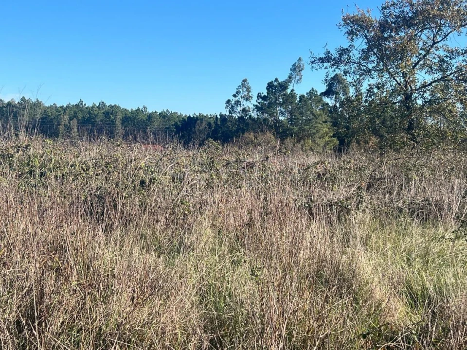 Terreno para Venda em Monte Real e Carvide Foto 5