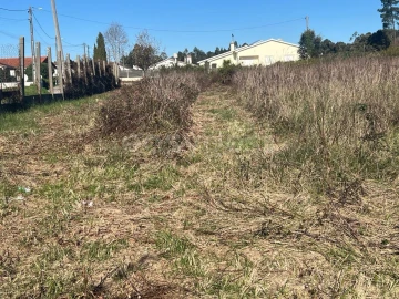 Terreno para Venda em Monte Real e Carvide