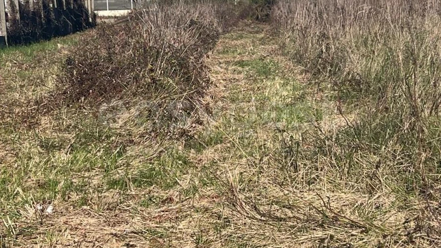Terreno para Venda em Monte Real e Carvide