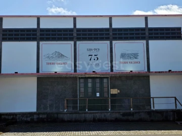 Apartamento T2 para Venda em Madalena