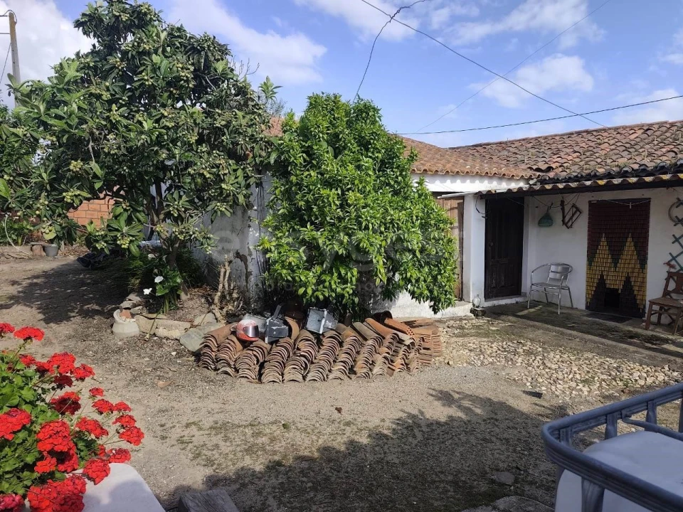 Moradia T4 para Venda em São João de Negrilhos Foto 23