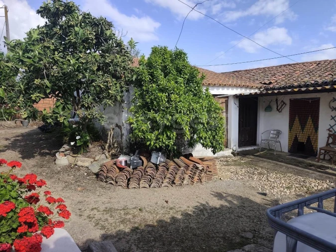 Moradia T4 para Venda em São João de Negrilhos Foto 23