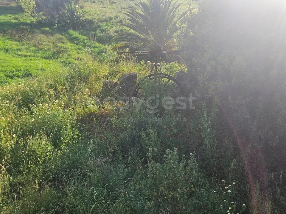 Terreno para Venda em Alvor Foto 9