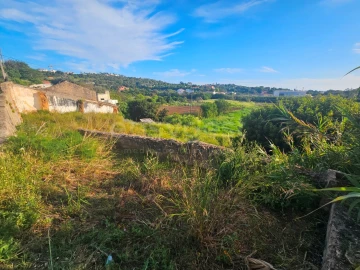 Terreno para Venda em Alvor