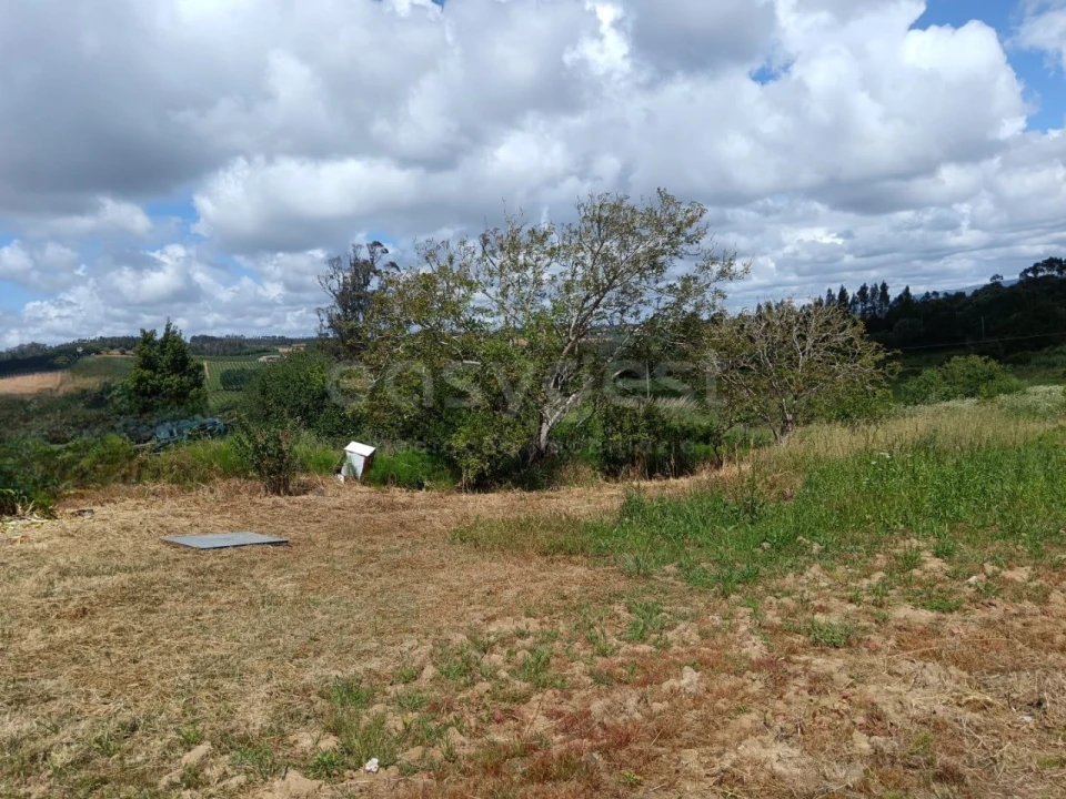 Terreno para Venda em Cela Foto 2