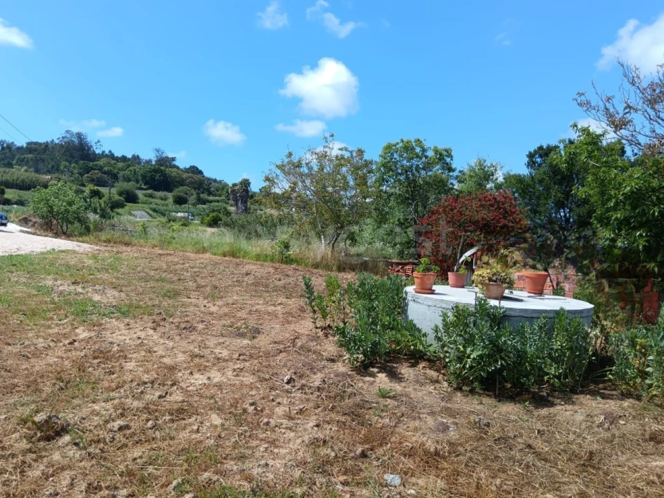 Terreno para Venda em Cela Foto 3