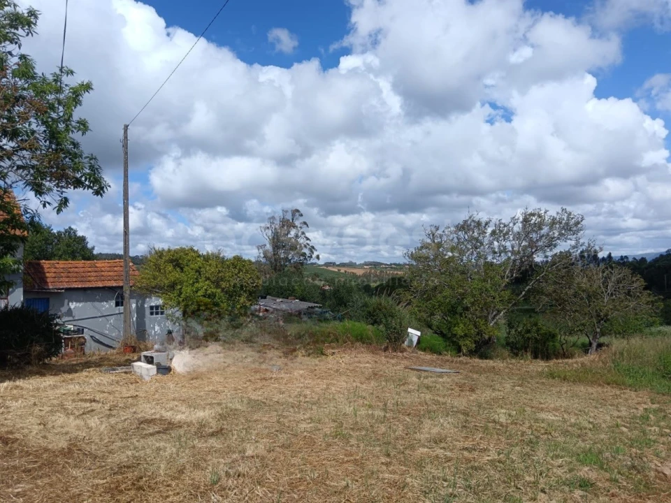 Terreno para Venda em Cela Foto 4