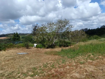 Terreno para Venda em Cela