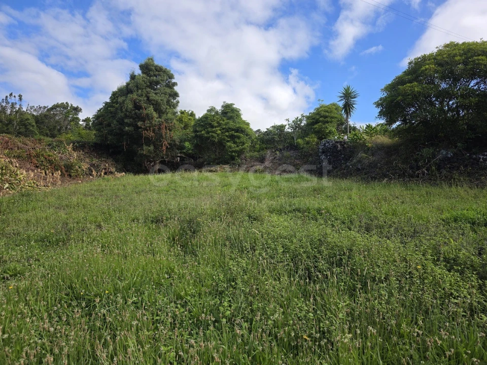 Moradia T3 para Venda em Lajes do Pico Foto 9