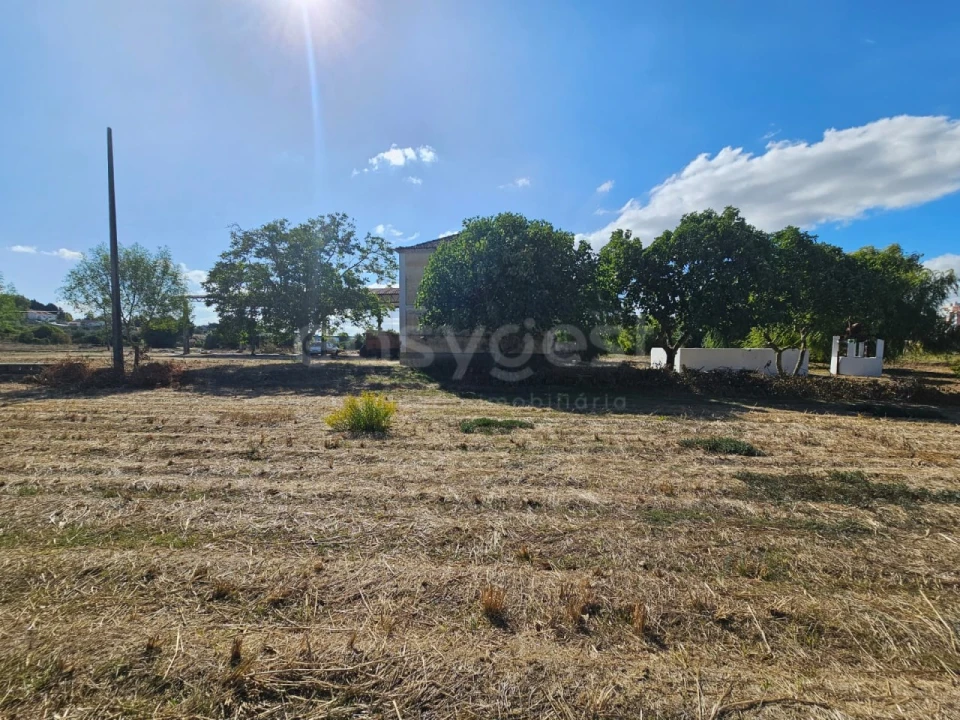 Quinta T3 para Venda em Torres Novas (Santa Maria, Salvador e Santiago) Foto 30