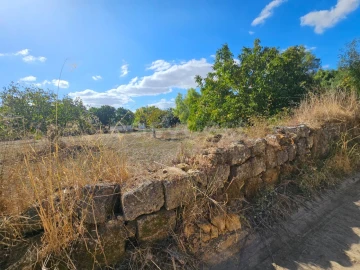 Quinta T3 para Venda em Torres Novas (Santa Maria, Salvador e Santiago)