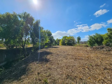 Quinta T3 para Venda em Torres Novas (Santa Maria, Salvador e Santiago)