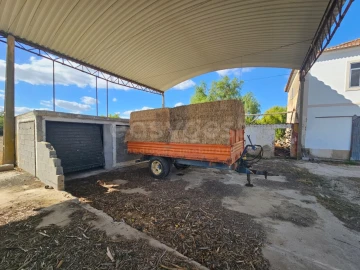 Quinta T3 para Venda em Torres Novas (Santa Maria, Salvador e Santiago)