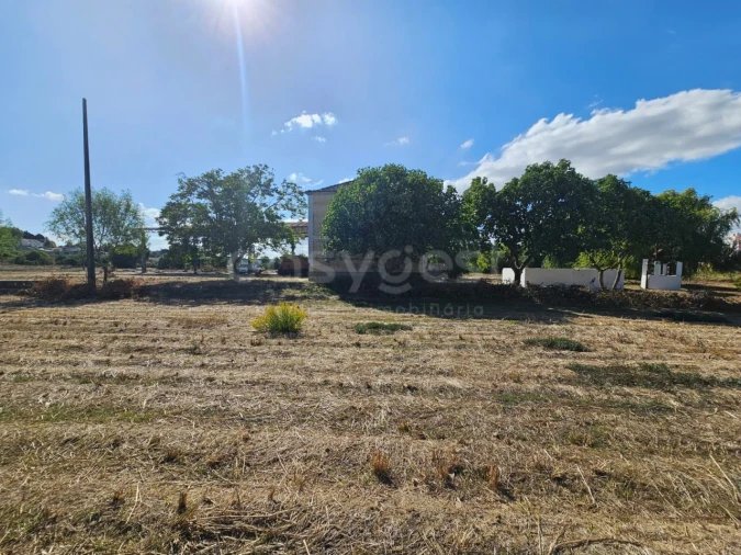 Quinta T3 para Venda em Torres Novas (Santa Maria, Salvador e Santiago) Foto 30