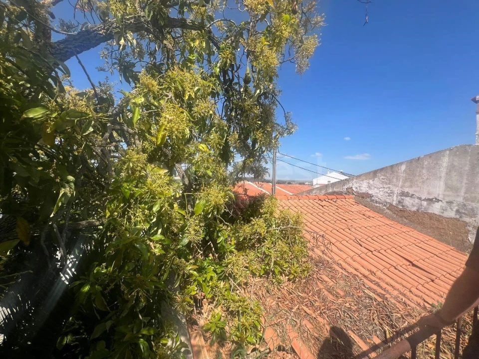 Moradia T4 para Venda em Nossa Senhora das Neves Foto 3