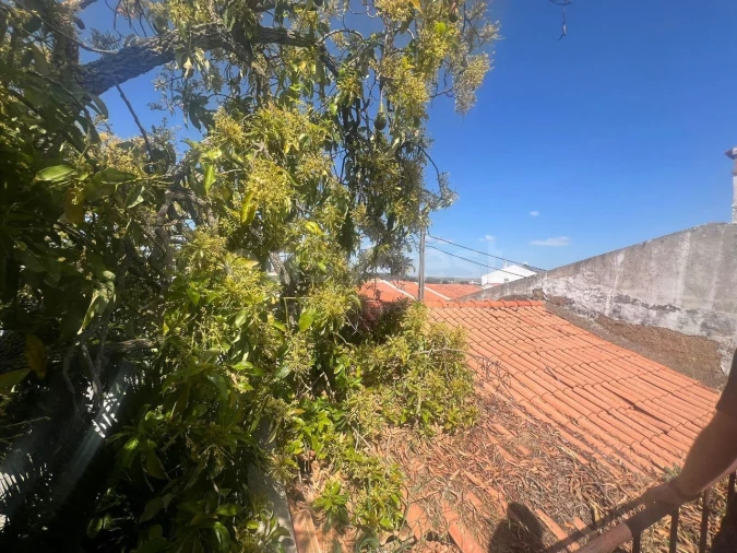 Moradia T4 para Venda em Nossa Senhora das Neves Foto 3