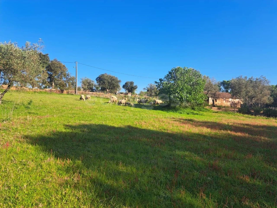 Quinta T2 para Venda em São Salvador e Santa Maria Foto 15