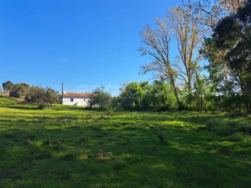 Quinta T2 para Venda em São Salvador e Santa Maria