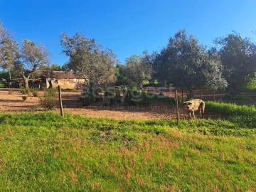 Quinta T2 para Venda em São Salvador e Santa Maria