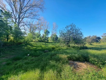 Quinta T2 para Venda em São Salvador e Santa Maria