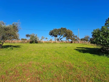 Quinta T2 para Venda em São Salvador e Santa Maria