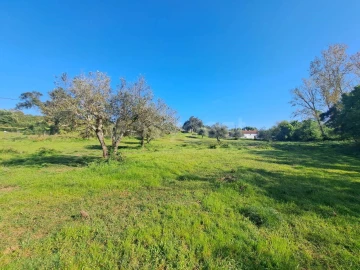 Quinta T2 para Venda em São Salvador e Santa Maria