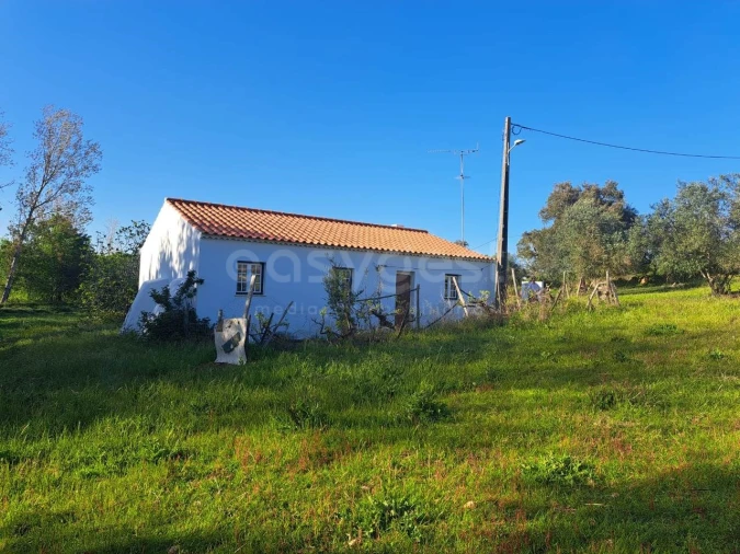 Quinta T2 para Venda em São Salvador e Santa Maria Foto 2