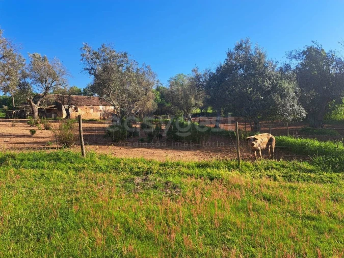Quinta T2 para Venda em São Salvador e Santa Maria Foto 16