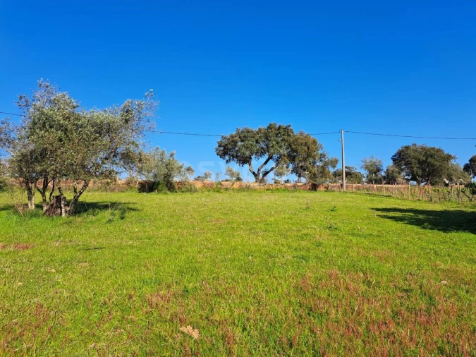 Quinta T2 para Venda em São Salvador e Santa Maria Foto 20