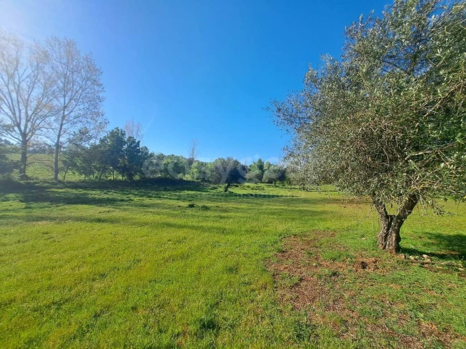Quinta T2 para Venda em São Salvador e Santa Maria Foto 21
