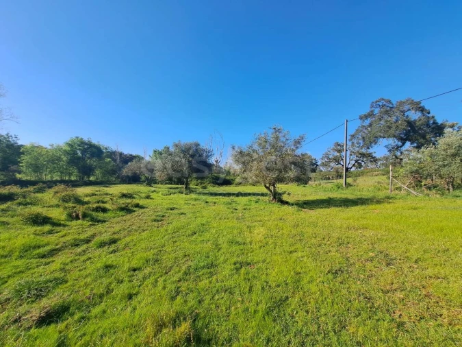 Quinta T2 para Venda em São Salvador e Santa Maria Foto 22