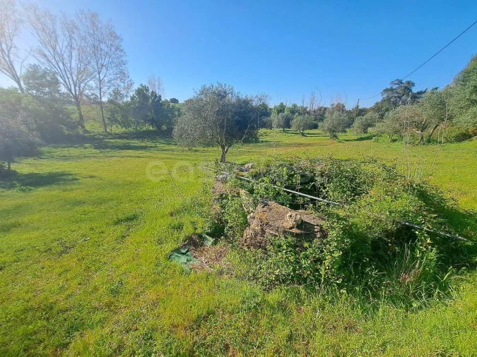 Quinta T2 para Venda em São Salvador e Santa Maria Foto 23