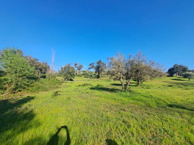Quinta T2 para Venda em São Salvador e Santa Maria Foto 25