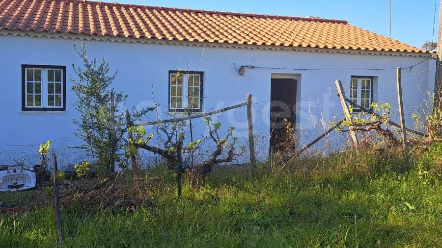 Quinta T2 para Venda em São Salvador e Santa Maria