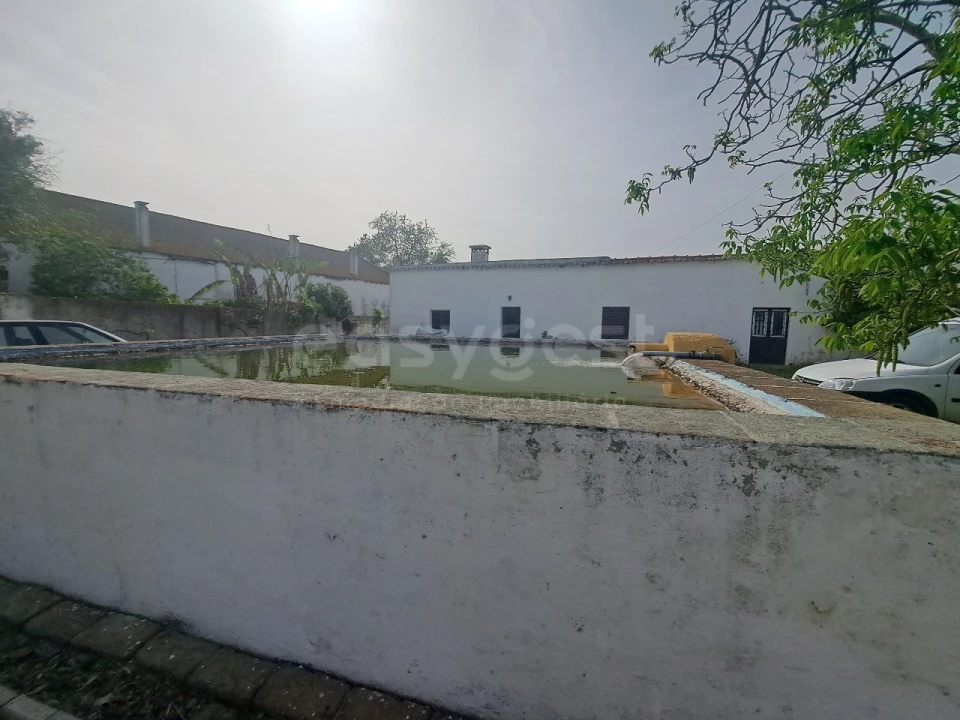 Quinta T11 para Venda em Beja (Salvador e Santa Maria da Feira) Foto 10