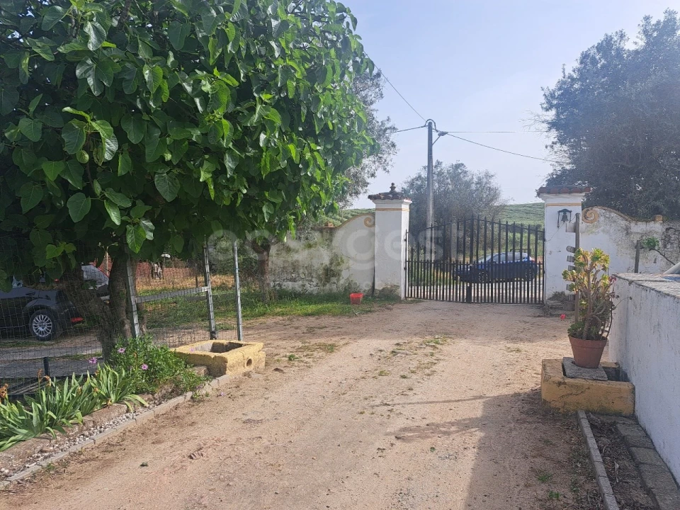 Quinta T11 para Venda em Beja (Salvador e Santa Maria da Feira) Foto 13