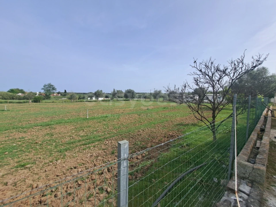 Quinta T11 para Venda em Beja (Salvador e Santa Maria da Feira) Foto 17