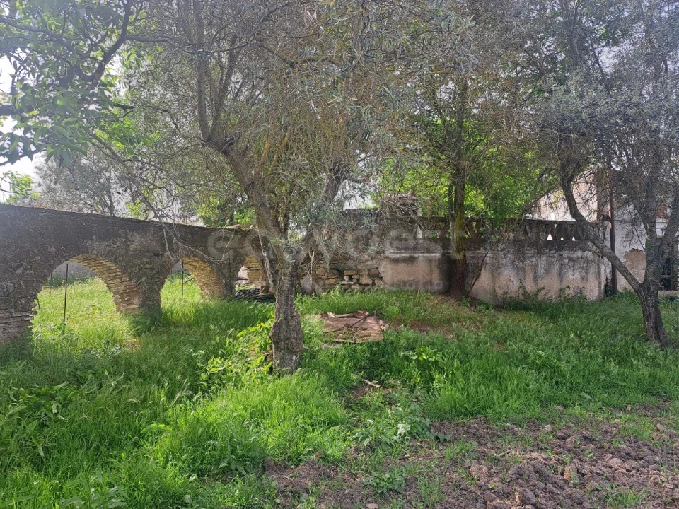 Quinta T11 para Venda em Beja (Salvador e Santa Maria da Feira) Foto 20