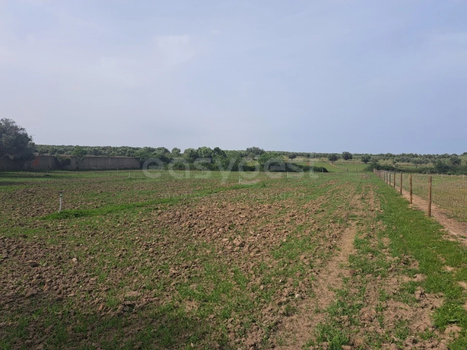 Quinta T11 para Venda em Beja (Salvador e Santa Maria da Feira) Foto 22