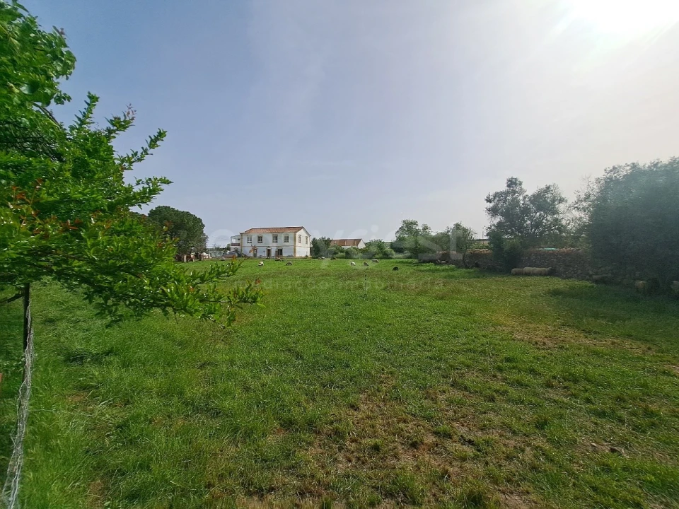 Quinta T11 para Venda em Beja (Salvador e Santa Maria da Feira) Foto 30