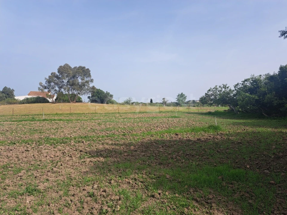 Quinta T11 para Venda em Beja (Salvador e Santa Maria da Feira) Foto 32