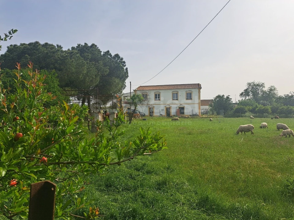 Quinta T11 para Venda em Beja (Salvador e Santa Maria da Feira) Foto 33