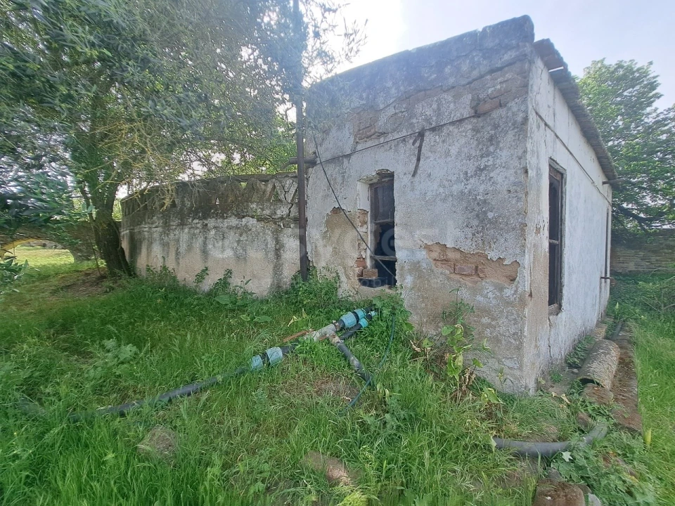 Quinta T11 para Venda em Beja (Salvador e Santa Maria da Feira) Foto 35