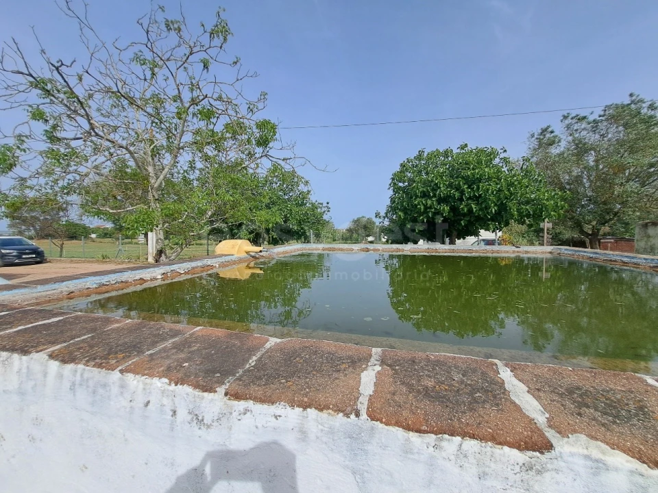 Quinta T11 para Venda em Beja (Salvador e Santa Maria da Feira) Foto 42