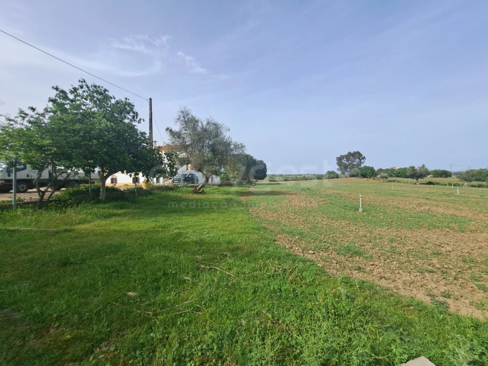 Quinta T11 para Venda em Beja (Salvador e Santa Maria da Feira) Foto 52