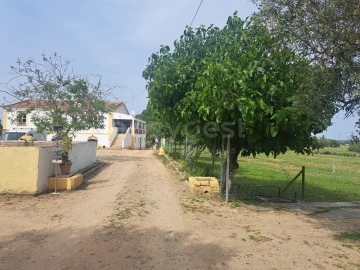 Quinta T11 para Venda em Beja (Salvador e Santa Maria da Feira)