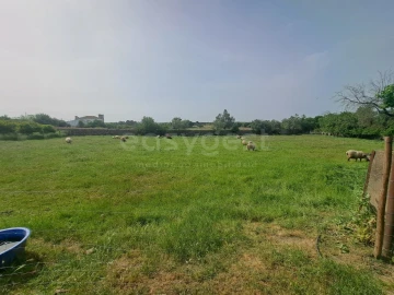 Quinta T11 para Venda em Beja (Salvador e Santa Maria da Feira)